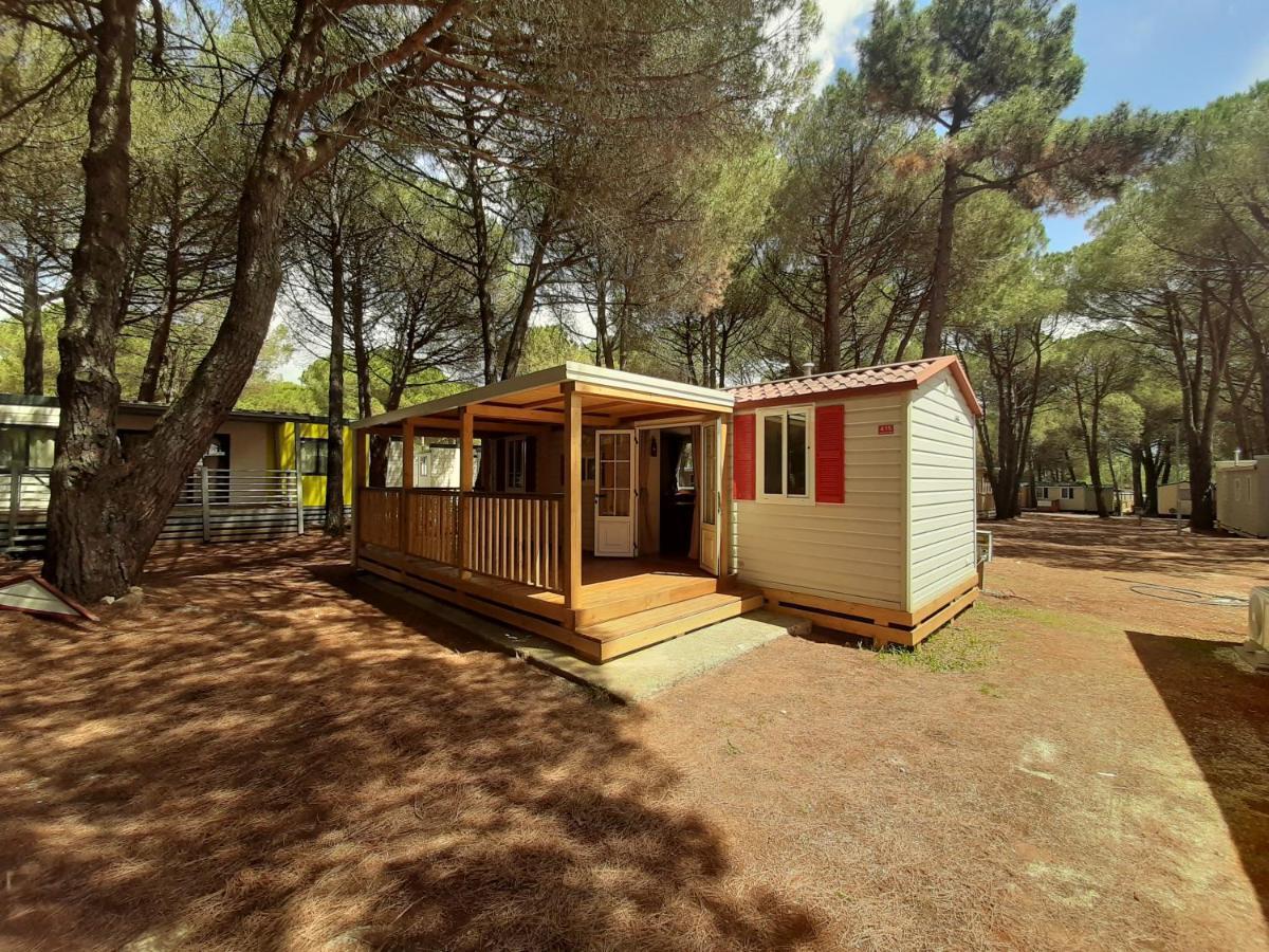 Lux Camp - Mobile Homes In Bi Village 파자나 외부 사진